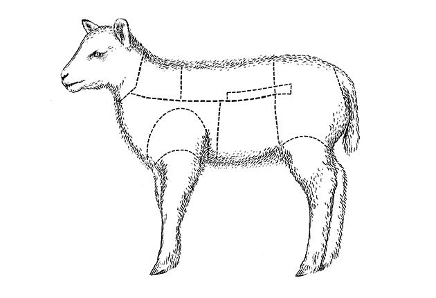 Lammkött – mycket mer än stek, filé och kotlett.