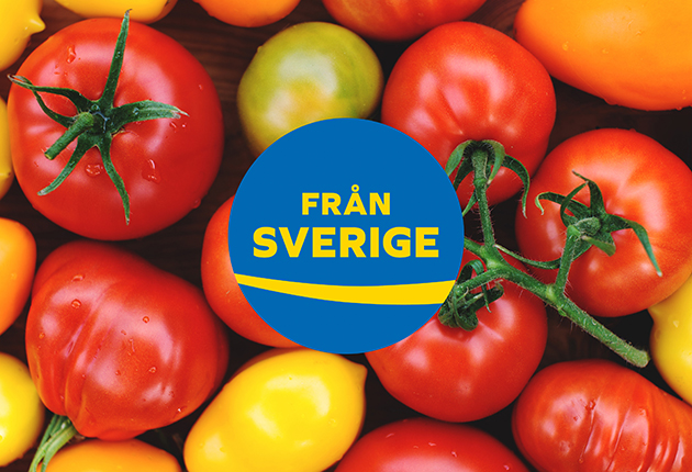 Pressmeddelande Svenska tomater