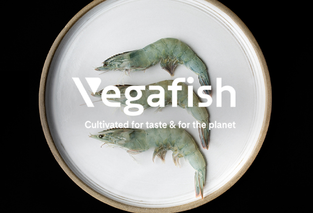 Vegafish svenskodlade jätteräkor – Från Sverige