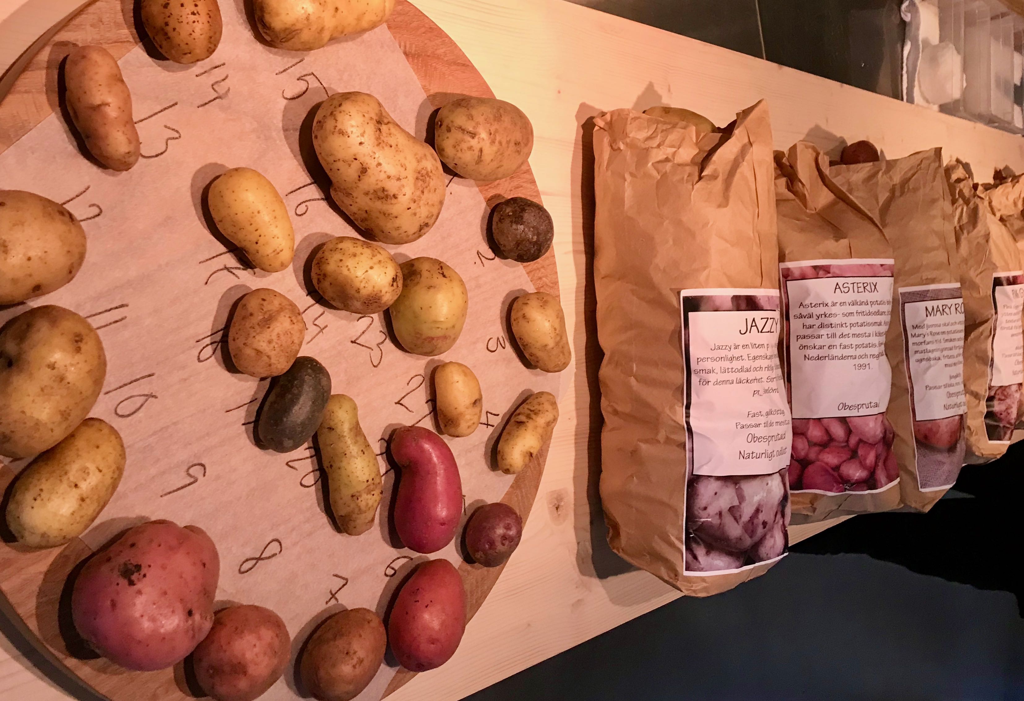 Sveriges mest älskade knöl – Potatisrapporten