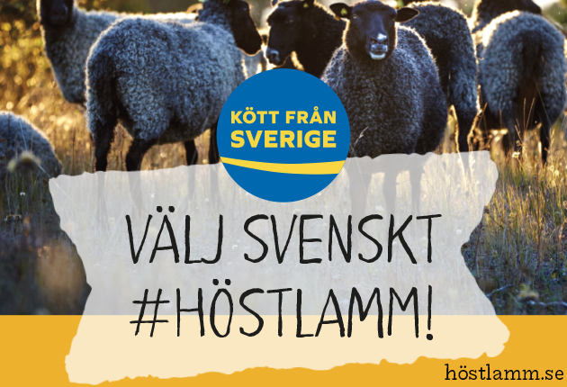 Lamm är bäst på hösten — svenskt #höstlamm