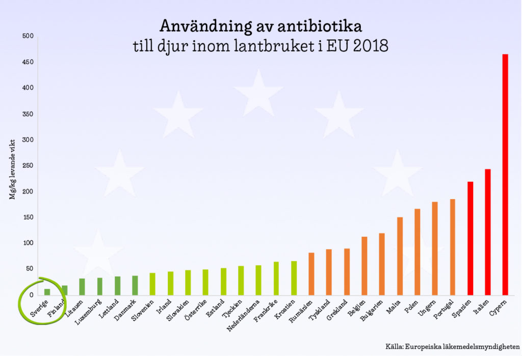 Antibiotikaanvändning