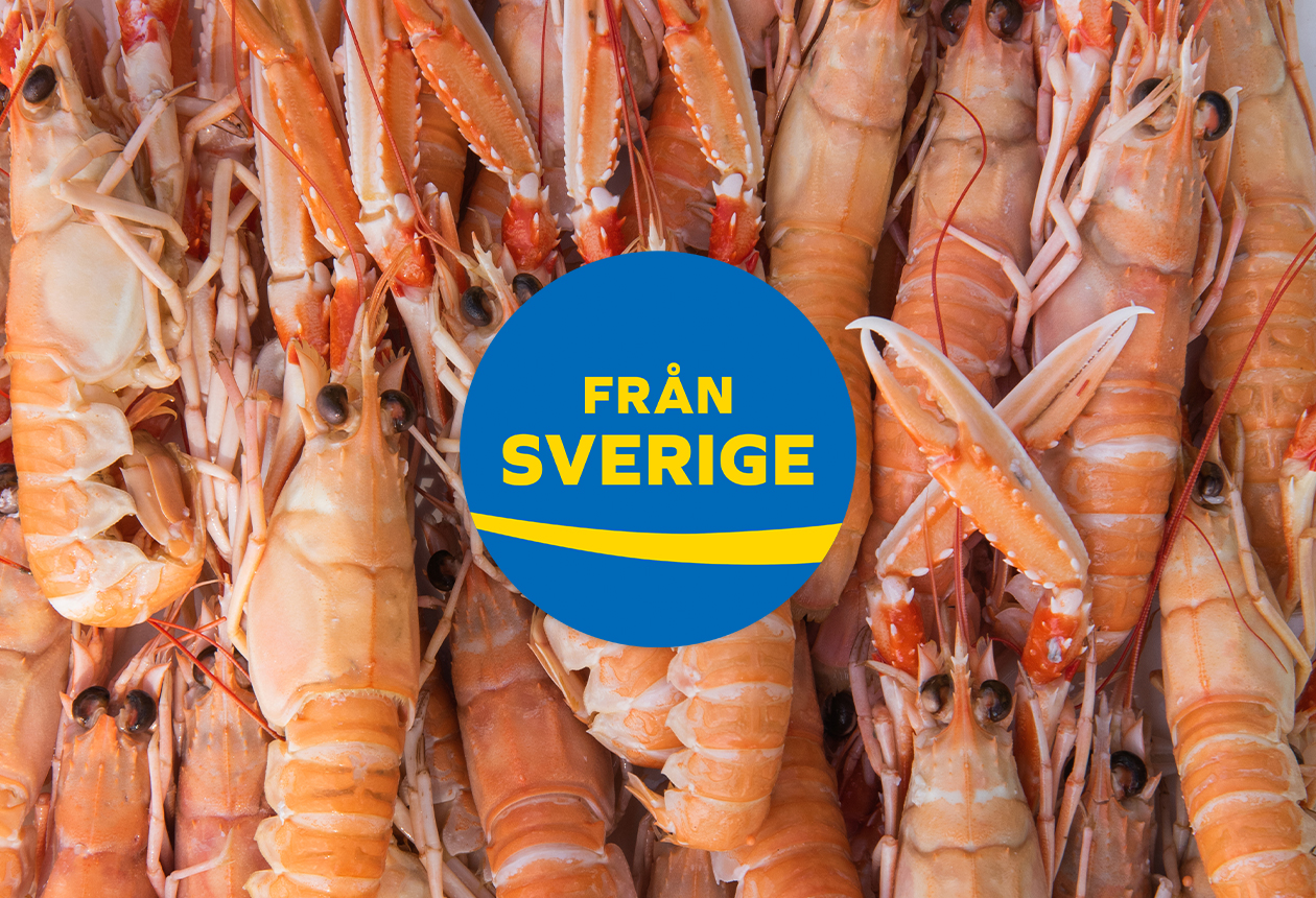 Bua Shellfish Från Sverige-märkta havskräftor & räkor