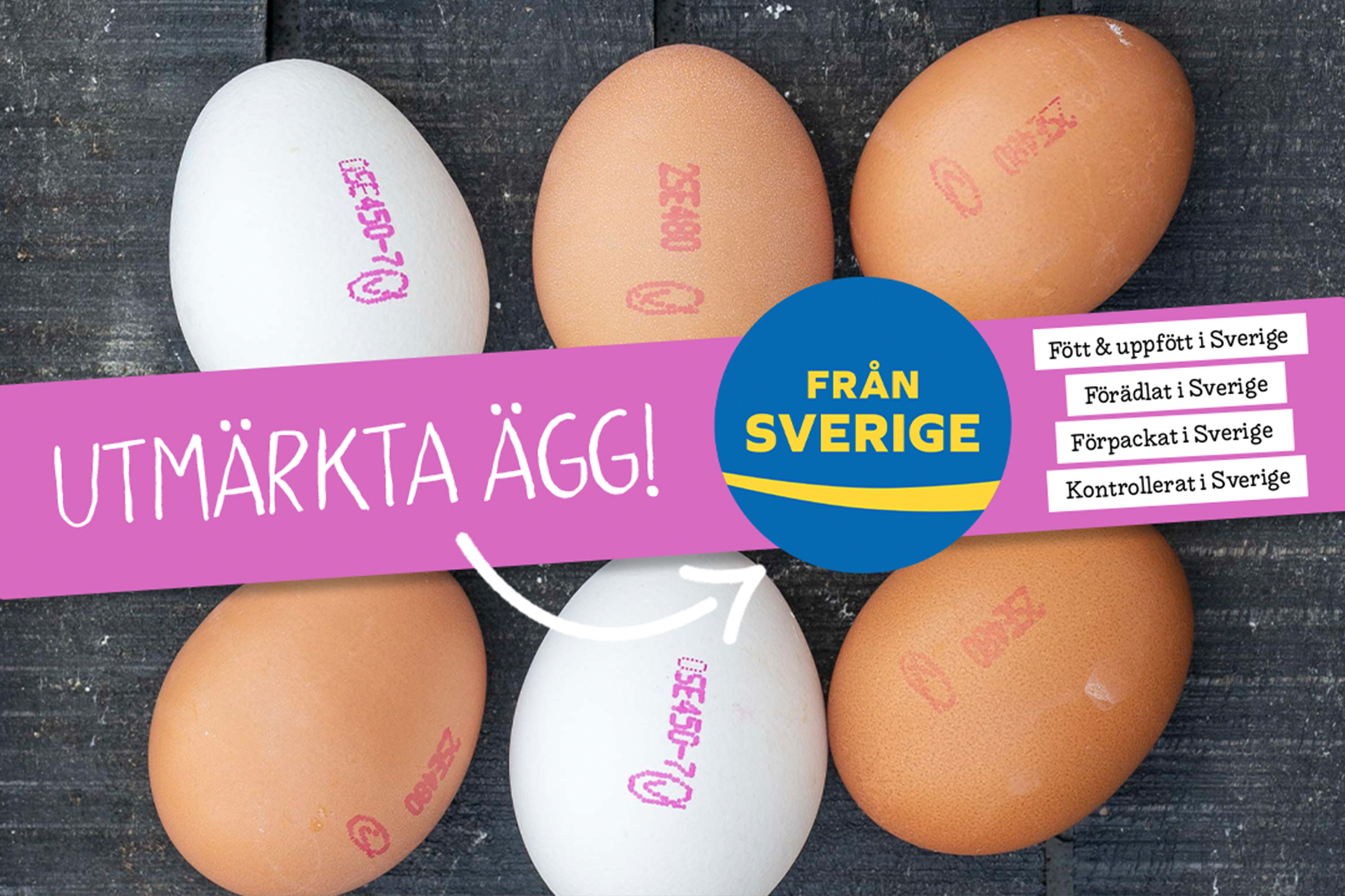 Äggen skyltas upp — Från Sverige-veckorna