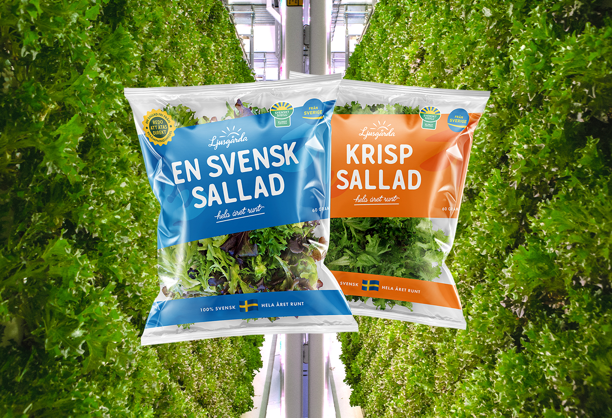 Här odlas Från Sverige-märkt sallad året runt
