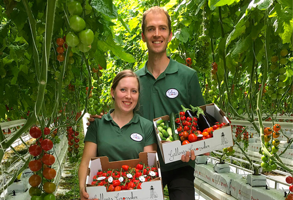 Gällenäs Grönsaker – “Att odla är vår livsstil” – Från Sverige