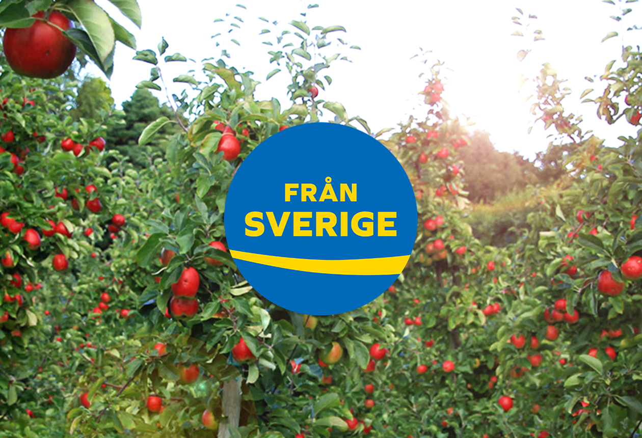 Svenska smakrika äpplen – 6 sorter