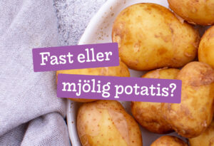 fast eller mjölig potatis