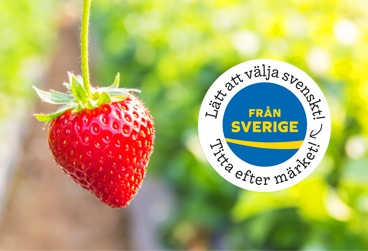 Så vet du att det är svenska jordgubbar